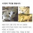 365 신원당 동물병원 이미지