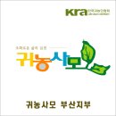 대동농협 대중지점 이미지