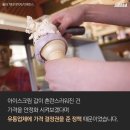 싸다고 아이스크림 이미지