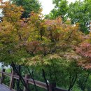 현덕 축구장 이미지