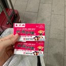 강남썬약국 | [울릉도 여행] 수서역SRT - 포항역 : 울릉크루즈 셔틀버스 시간표