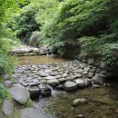 금화계곡주차장 이미지