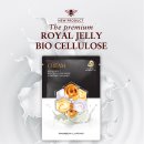 라파엘바이오 이미지