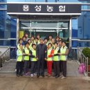 용성농협 이미지