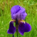 달콤한 홈베이킹 이미지