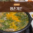 양촌건강원 - 논산시 매죽헌로 1684 | 현지인 맛집 안성흑염소 양촌가든