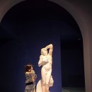 피노디아 아트홀 500 이미지