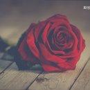 화성실버하우스 네이버블로그