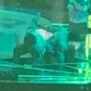 남측브릿지(우) 화장실 | 엔시티 위시 콘서트 후기 2편 : 첫콘 무대 후기와 시야 공유 (210구역)