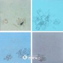 신미술관 이미지