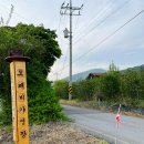 청옥산깨비마을 야영장 이미지