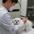 더케이 동물병원 이미지