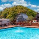 세모난나무 이미지