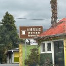 대영란수산 | [제주]5주년기념여행🧡_3:::제주동문시장,영란수산,갈치택배,감귤택배,김재훈고사리육개장,스타벅스제주...
