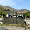 평창동강로 | 강원도 평창 송어맛집 기화양어장 횟집 송어회정식 가족모임