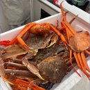 강구수산회대게센타 | 동광어시장맛집 영덕대게센타42호 포장, 집에서 즐긴 후기🦀🥃