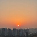 코드스퀘어 | 코드야트 메리어트 서울타임스퀘어 모모카페 뷔페 후기