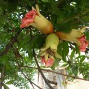 합천군 북부권 농기계대여은행 이미지