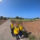 푸른 | 일본 오키나와 스노쿨링 후기 | 나하 픽업 푸른동굴 투어 (자네비치 변경, 점심 포함) 내돈내산