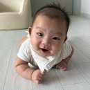 (비젤어린이집)한마음어린이집 | [공지] 주간일기ep343. 어린이집 여름방학! 남매맘의 할미집 투어 가족여행