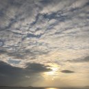 다시올게 이미지