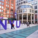 [미국사립대학] 뉴욕 대학교 - New York University(NYU) 이미지