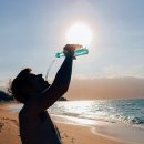 에스바디짐 이미지