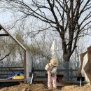 강일 농장 이미지