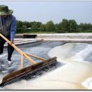 아버지의바다 이미지