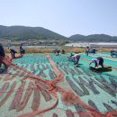 회진면 행정복지센터 이미지