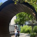 생각속의집 라벤더 이미지