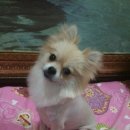 고벵이 펜션 이미지