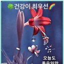 돌담집 - 청도군 운문로 1074-11 | 돌담집