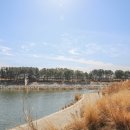 그리네스트 이미지