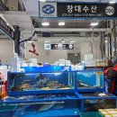 오정농수산물시장 수산동 | 수원 농수산물시장 수산동 방문 후기! 대방어와 석화 가격