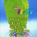 북분대로 Daum카페
