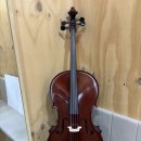 피스테일 이미지