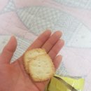 텐퍼센트커피 하월곡점 이미지
