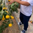 누나농장 이미지