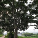 느티나무2농장 이미지