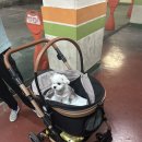 아담동물병원 이미지