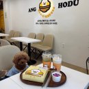 호두마루애견카페 | 강아지랑 가기 좋은 창원 용지호수 애견동반 카페 앙호두