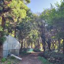 보림농장 이미지