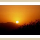 새날약국 이미지