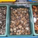 고흥녹동회타운 이미지