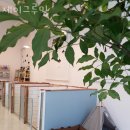 제이그루밍 이미지