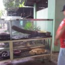 민제농장 이미지