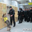 광주경찰특공대