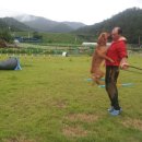 무지개훈련소 이미지