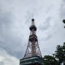 팜스타마트 | 차(삿포로 베이스 캠프 비에이 투어, 준페이, 세븐스타 나무, 청의 호수, 흰수염폭포, 사계채의 언덕...